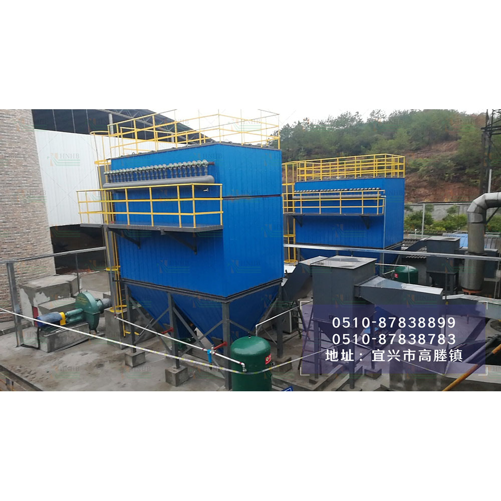 Jiangxi-Biomass Boiler Dust Removal Project